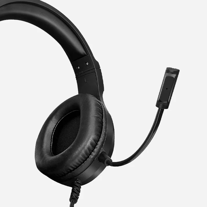 Noise Isolating Microphone