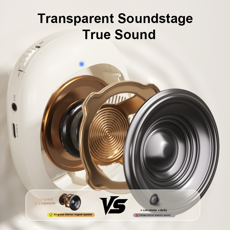 Powerful 10W Peak Audio Output Performance